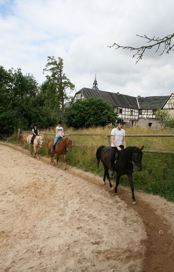 Pferd - Spass - Entspannung Staitz Zewnętrze zdjęcie