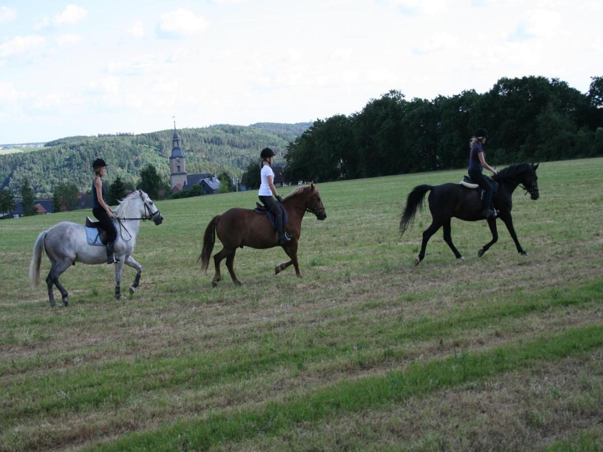 Pferd - Spass - Entspannung Staitz Zewnętrze zdjęcie