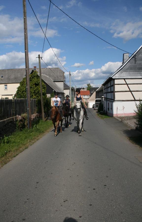 Pferd - Spass - Entspannung Staitz Zewnętrze zdjęcie