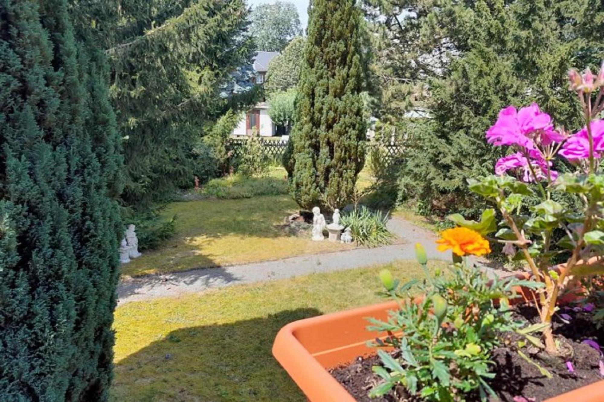 Pferd - Spass - Entspannung Staitz Zewnętrze zdjęcie